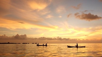 Small-scale fishing boats